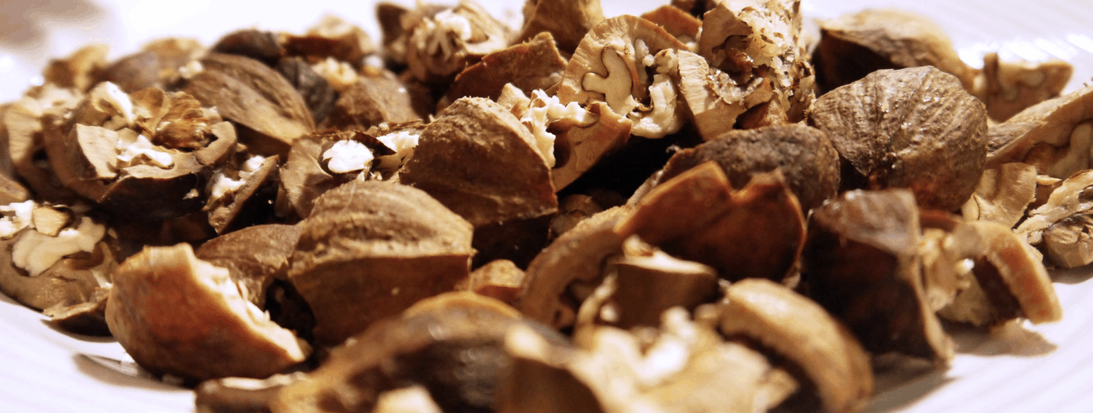 Cracked hickory nuts