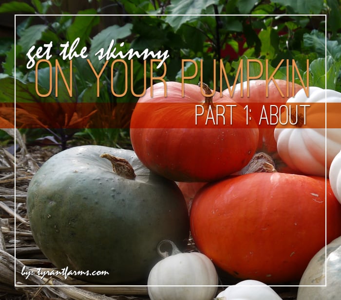 Pumpkin History & Folklore - Tyrant Farms