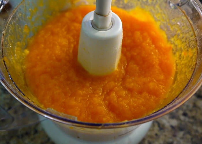 Fresh, pureed pumpkin in blender - Tyrant Farms