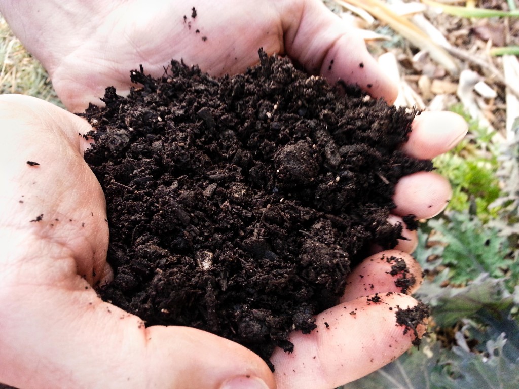 Rich black soil at Tyrant Farms.