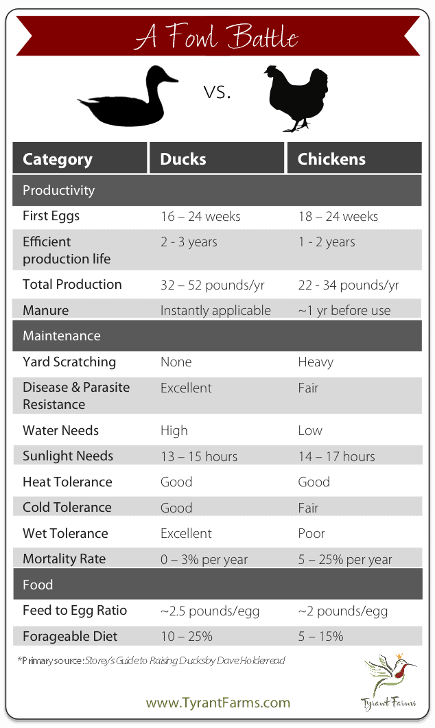 Duck Temperature Chart