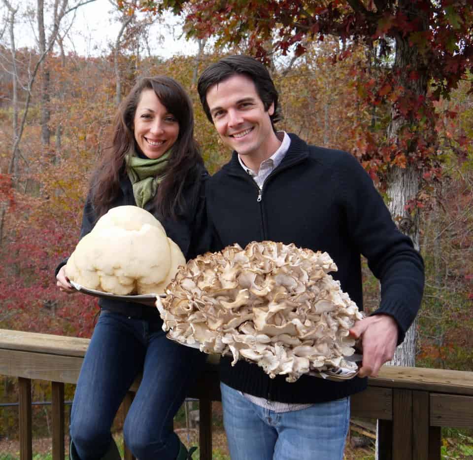Gigante Lions Mane (esquerda) e Maitake cogumelos que encontramos em 2012.