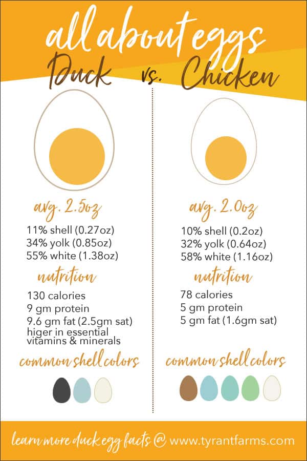 Duck Egg Chart