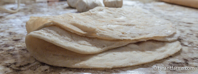 authentic tortilla featured image