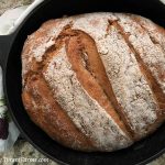 5 Minute Artisanal Bread // TyrantFarms.com