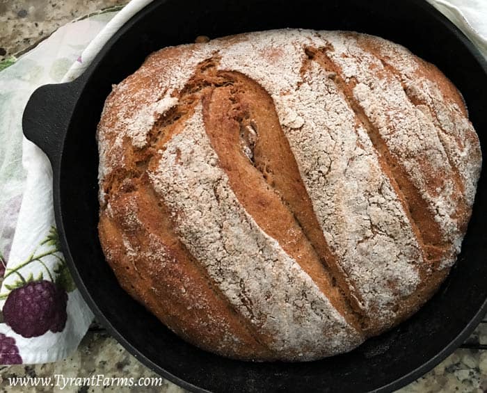 https://www.tyrantfarms.com/wp-content/uploads/2016/12/cob-oven-bread-fresh.jpg