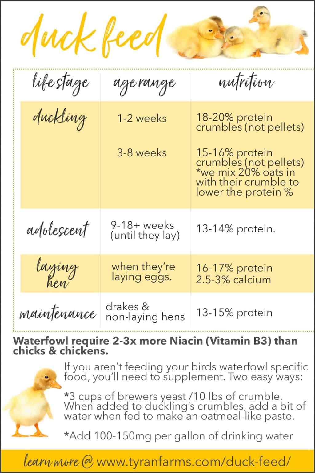 Duckling Age Chart