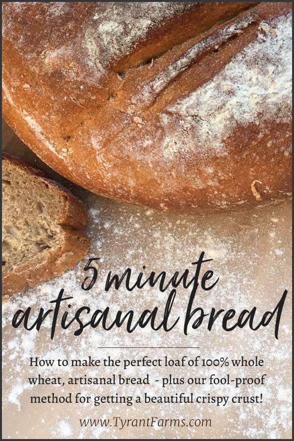 How to make the perfect loaf of 100% whole wheat, artisanal bread - plus our fool-proof method for getting a beautiful crispy crust! #wholewheat #bakingbread #tyrantfarms