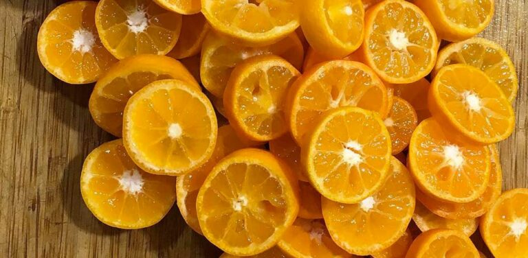 growing citrus pots in any climate featured image