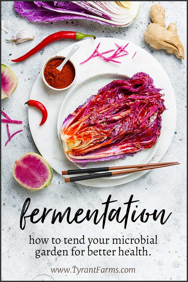 Fermentation: how to tend your microbial garden for better health. #microbiome #guthealth #probiotics #prebiotics #tyrantfarms