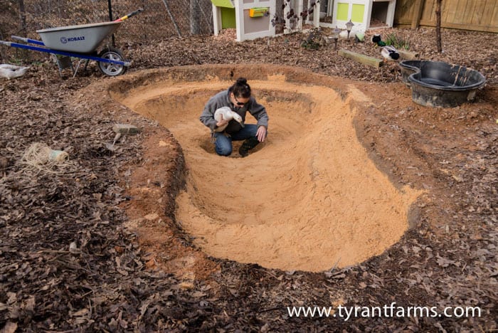 How to build a DIY backyard pond with self-cleaning biofilter