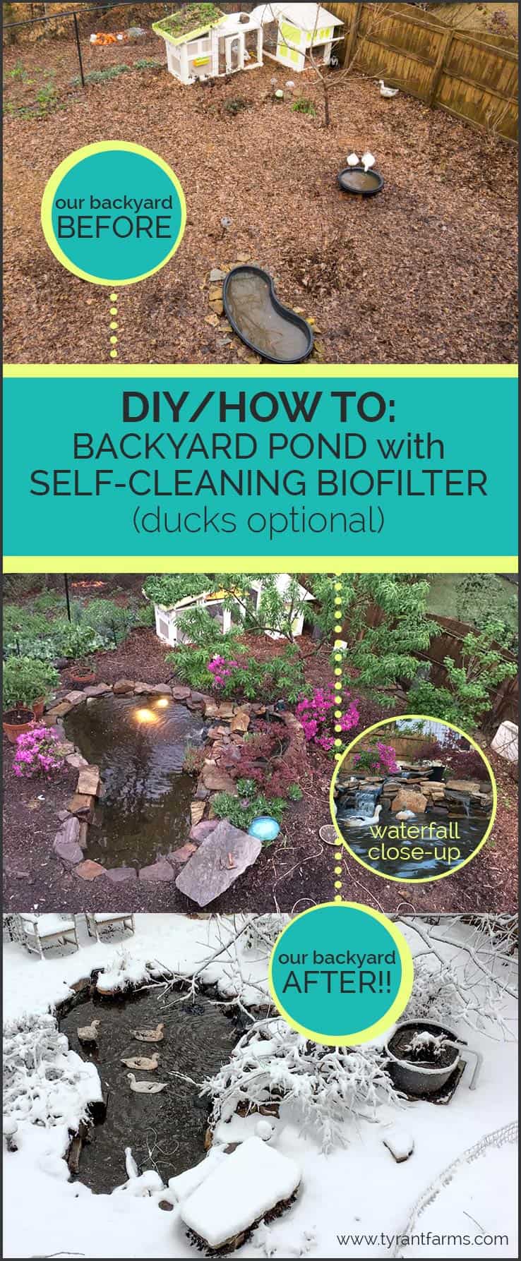 How To Build A Diy Backyard Pond With Self Cleaning Biofilter