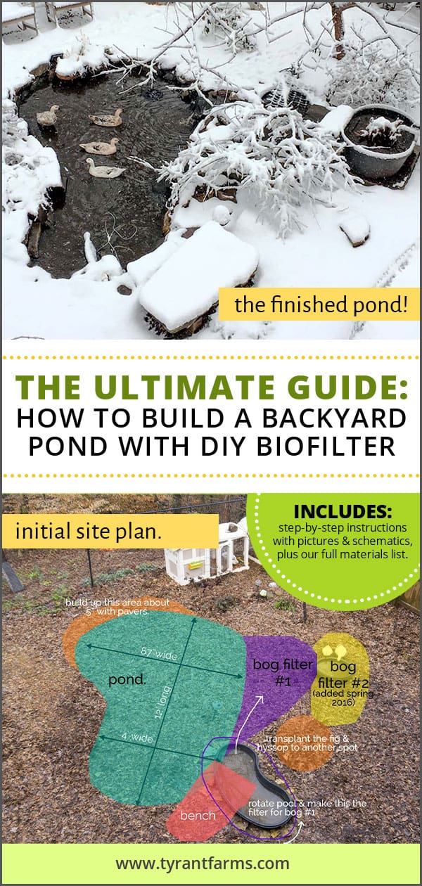 The Ultimate Guide: How To Build a Backyard Pond with DIY Biofilter