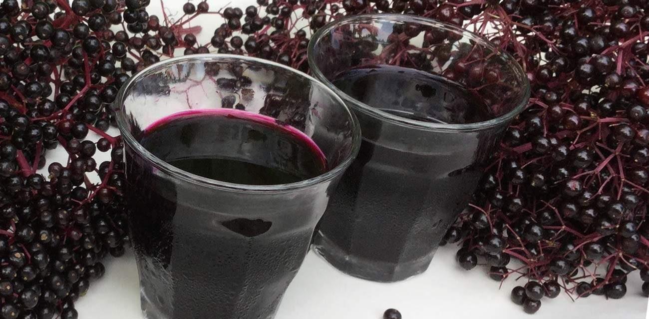 recipe: elderberry syrup