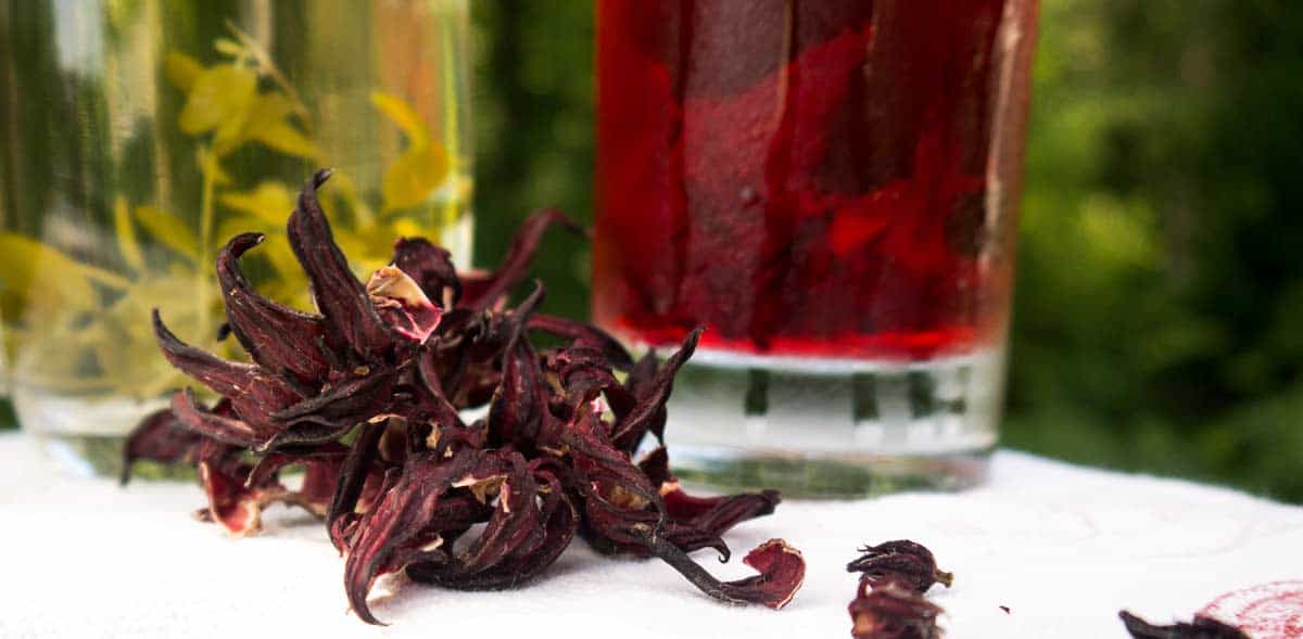 6 delicious teas featured image