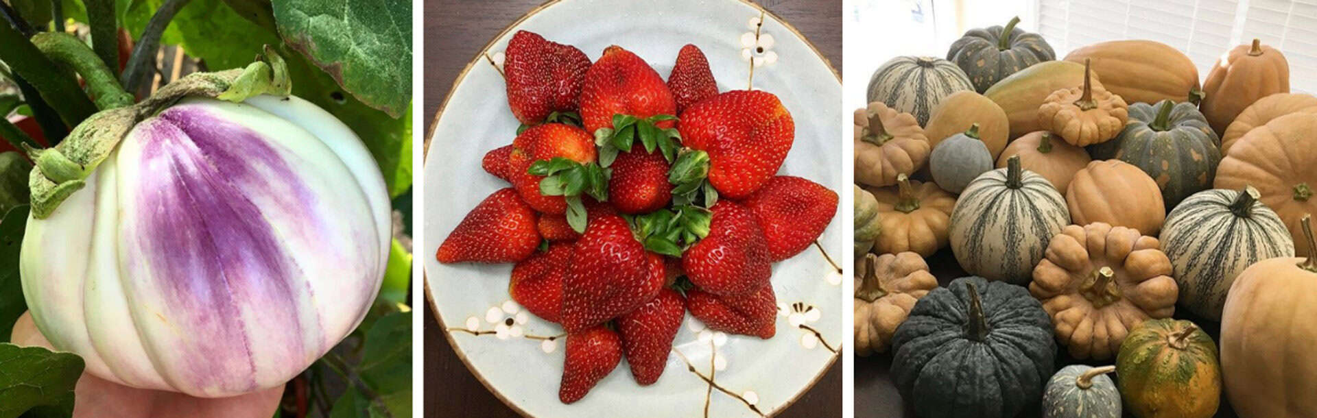 5 organic farming facts