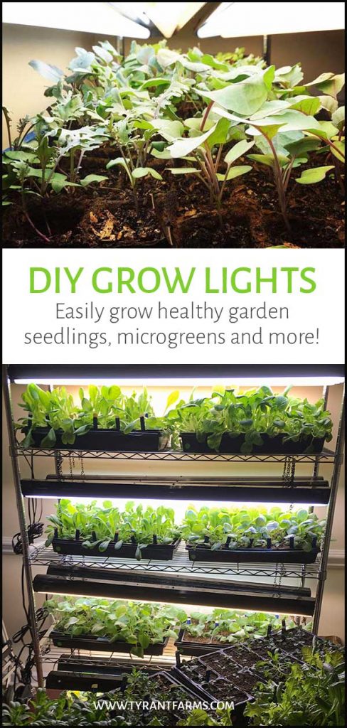 DIY Grow Lights: Easily grow healthy garden seedlings, microgreens and more! #tyrantfarms #diygardening #diy #microgreens #seedstarting #seedlings