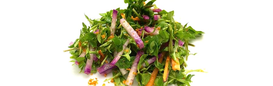 chickweed salad recipe
