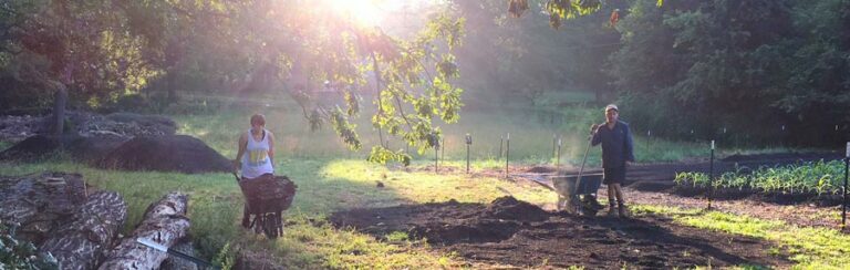 oak hill farm featured image