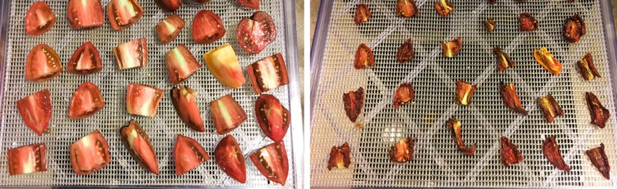 tomato water featured image