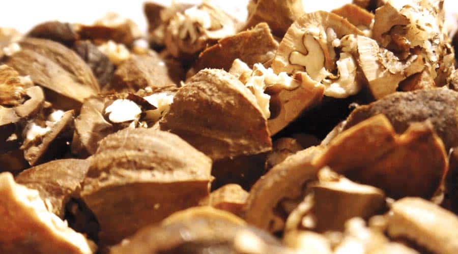 hickory nut ambrosia featured image