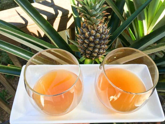 tepache recipe