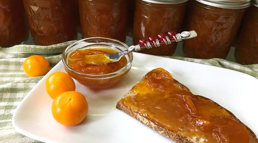 calamondin marmalade on toast
