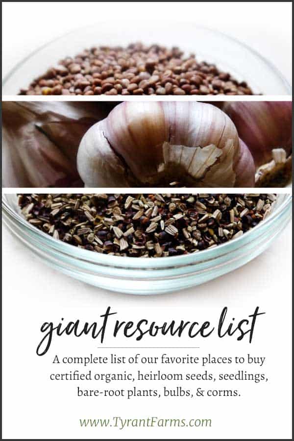 A complete list of our favorite places to buy certified organic, heirloom seeds, seedlings, bare-root plants, bulbs, & corms. #tyrantfarms #resourcelist #heirloomseeds #organicseeds