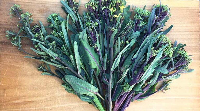 kale florets featured image