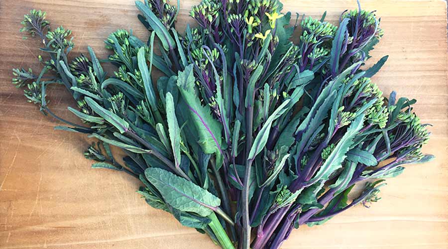 kale florets featured image