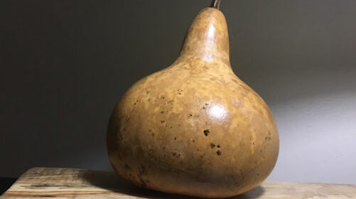 bottle gourds featured image