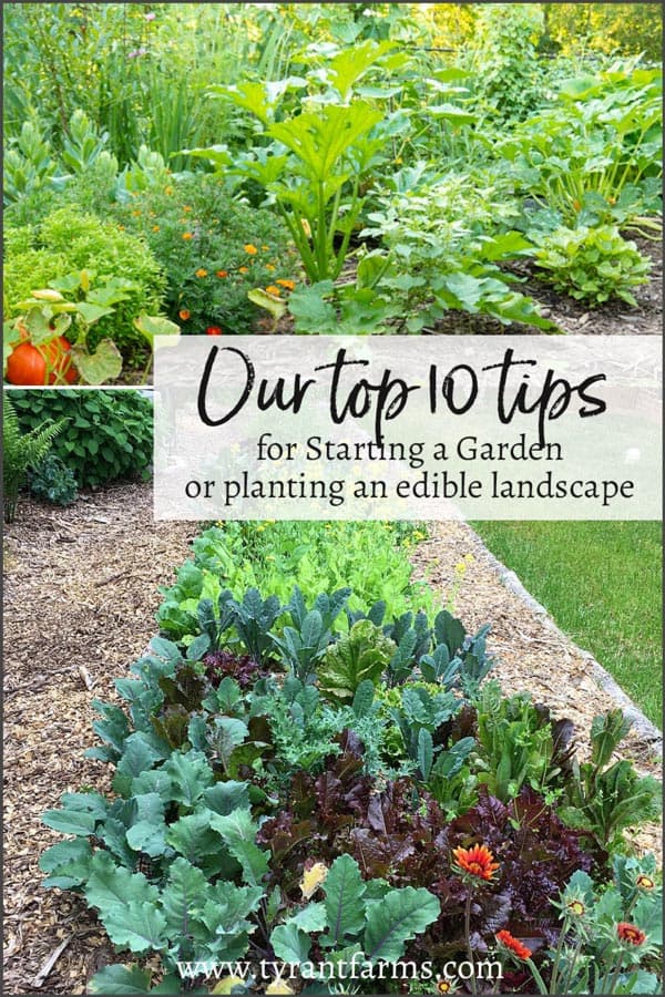 Our to 10 tips for starting a garden or planting an edible landscape. #greenthumb #brownthumb #blackthumb #growyourown #gardening #organicgardening #ediblelandscape #foodforest #permaculture #tyrantfarms
