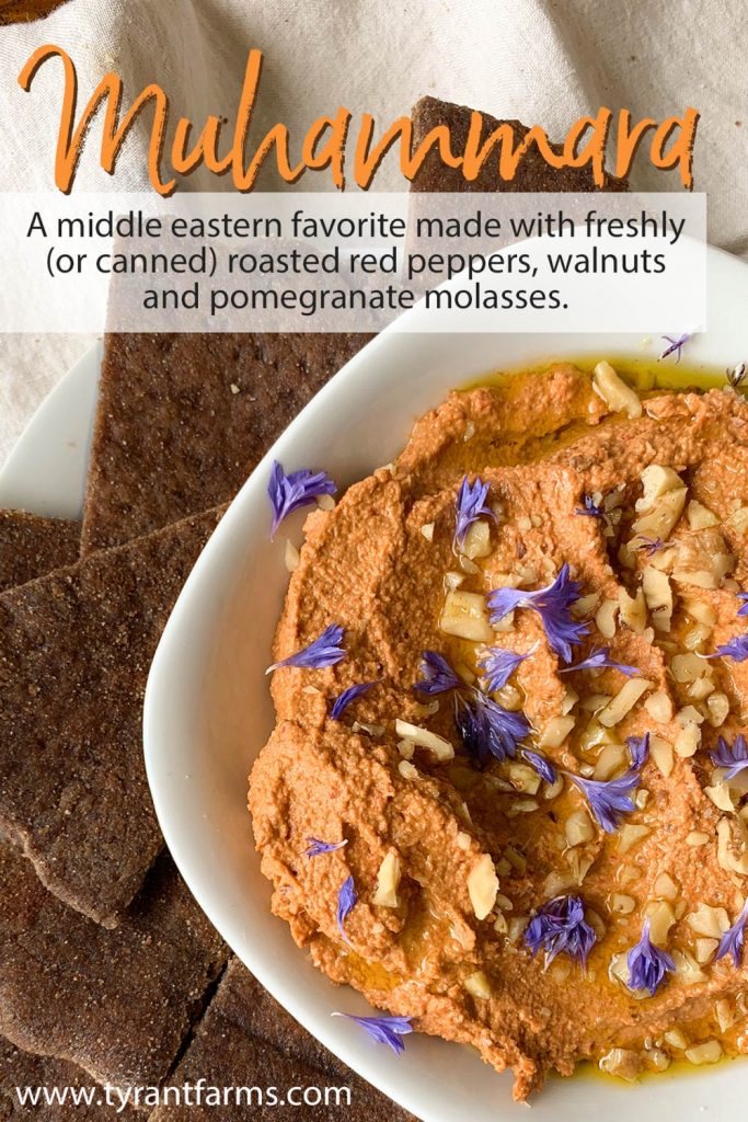 Muhammara - A delicious and ridiculously easy to make dip/sauce from the Middle East made from roasted red peppers, walnuts, and pomegranate molasses. #muhammara #acuka #recipes #pepperrecipe #mediterraneandiet #summerrecipes #pepperrecipes