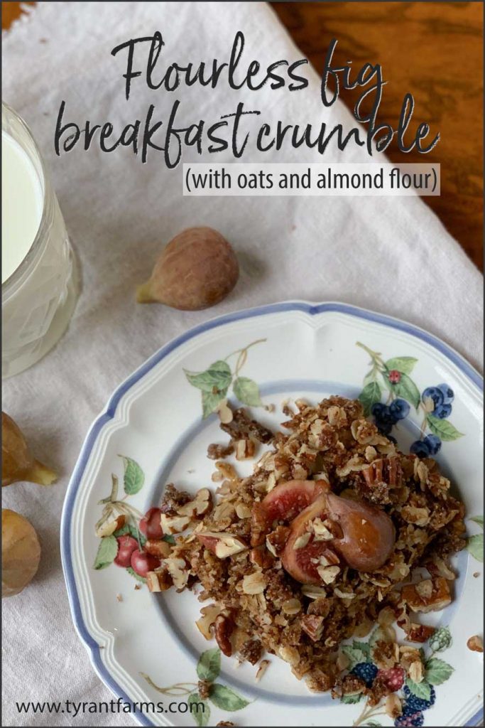 Pinterest image - recipe: flourless gluten-free fig crumble with oats and almond flour