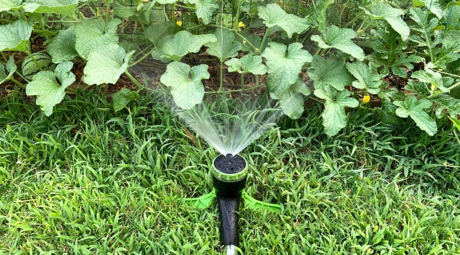 garden sprinkler x sprayer featured image