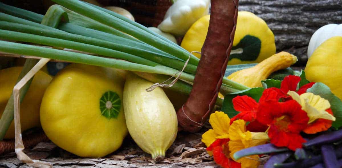 gifts for gardeners tyrant farms featured image