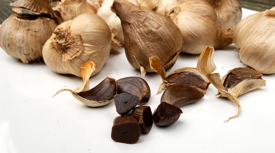 How To Make Black Garlic In A Dehydrator Tyrant Farms