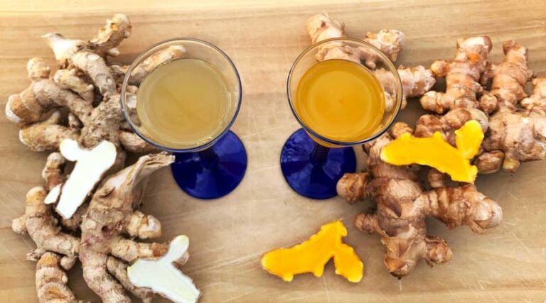 easy to make ginger and turmeric bug recipes