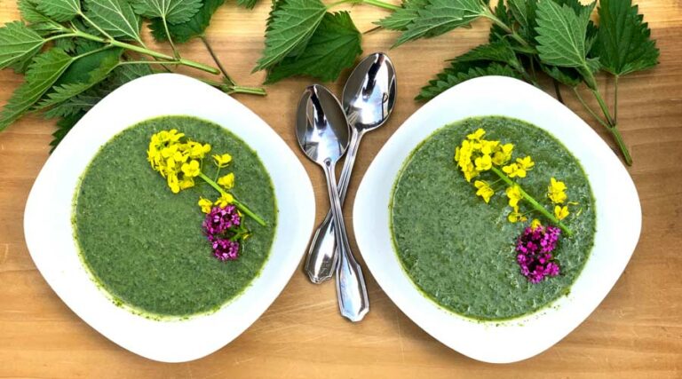 recipe: raw stinging nettle soup