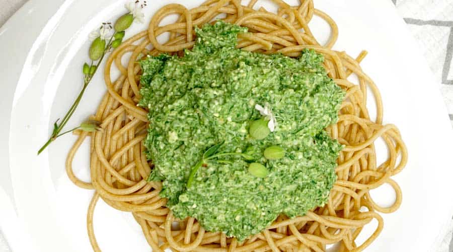 recipe: stinging nettle pesto