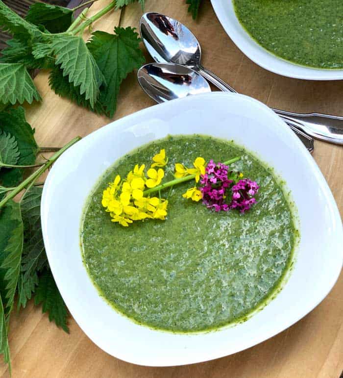 Raw stinging nettle soup recipe