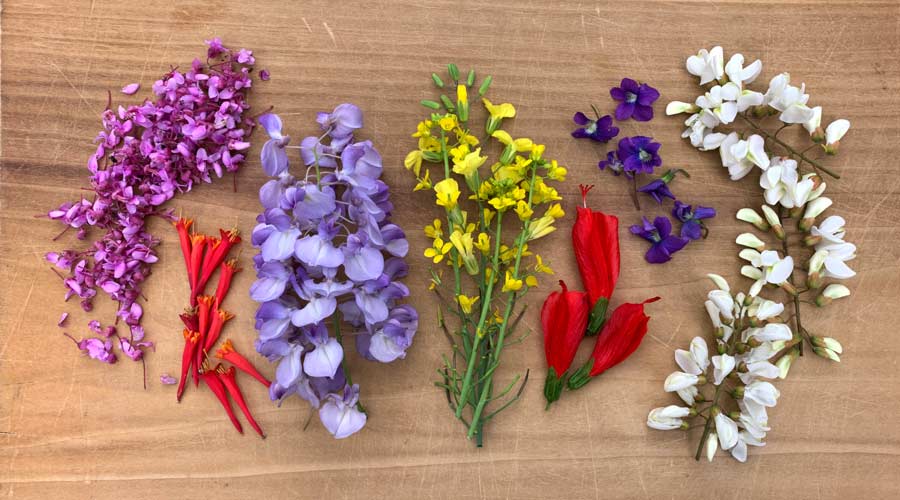 Visual appearance of the five edible flowers