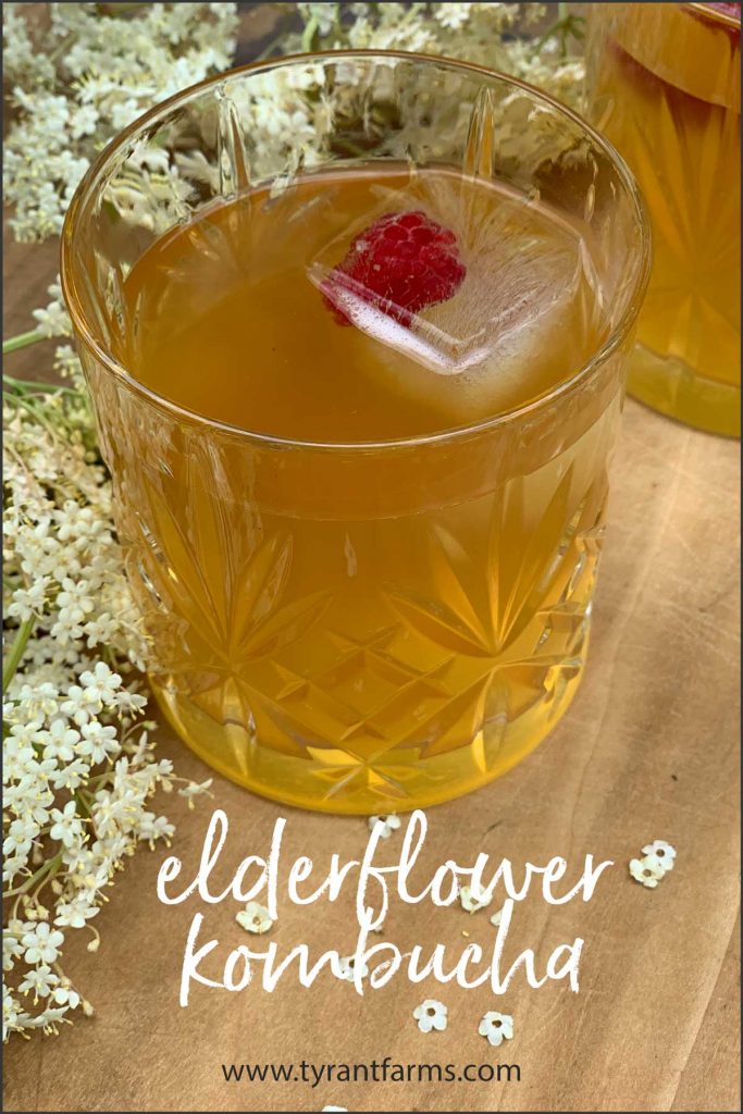 Recipe: elderflower kombucha