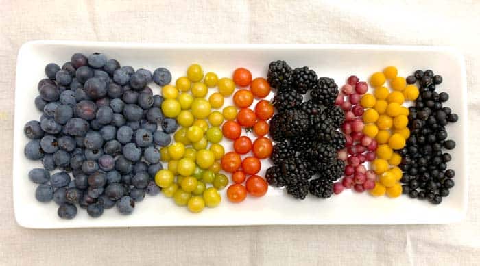 organic fruit southeast featured image