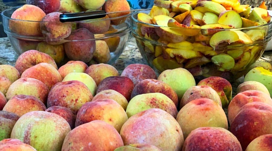 how to grow organic peaches southeast featured images