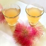 reishi mushroom mimosa flower cordial recipe