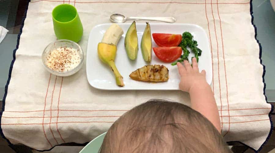 baby led weaning featured image