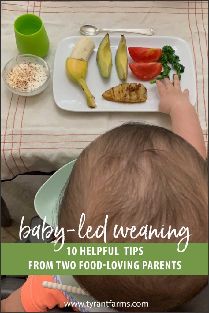 baby-led weaning Pinterest image