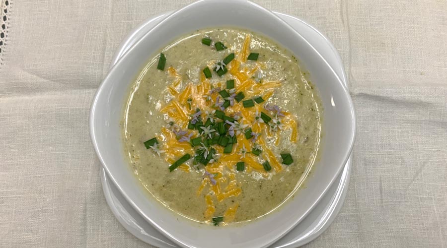 lion's mane mushroom soup recipe