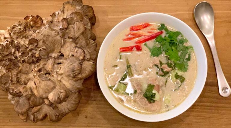 recipe: maitake mushroom soup - thai inspired
